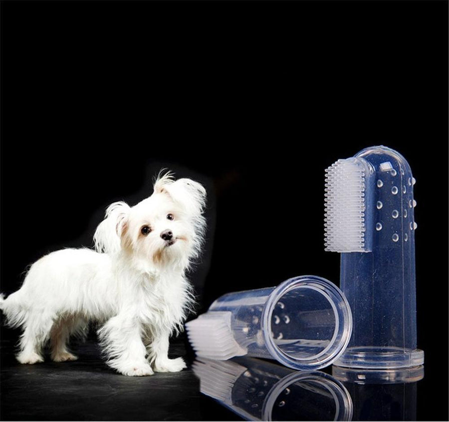 New Hot Selling Super Soft Pet Finger Toothbrush Teddy Dog Brush