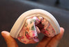 Floral Sneakers Shoes First Walkers Infant+Toddler Girl