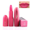 Matte Waterproof Velvet Lip Stick