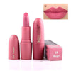 Matte Waterproof Velvet Lip Stick