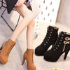 winter  boots  ultra high heel women's shoes